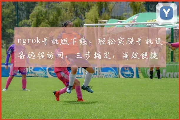 ngrok手机版下载，轻松实现手机设备远程访问，三步搞定，高效便捷