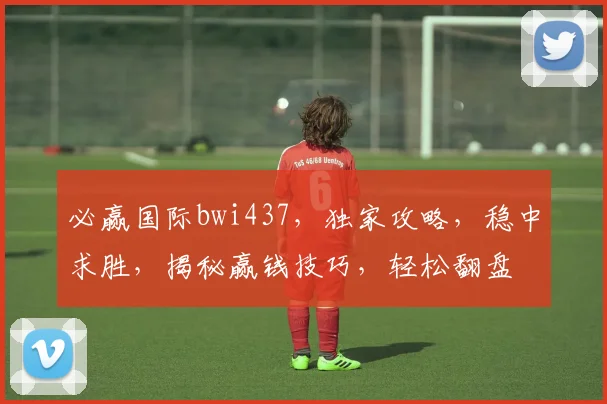 必赢国际bwi437，独家攻略，稳中求胜，揭秘赢钱技巧，轻松翻盘