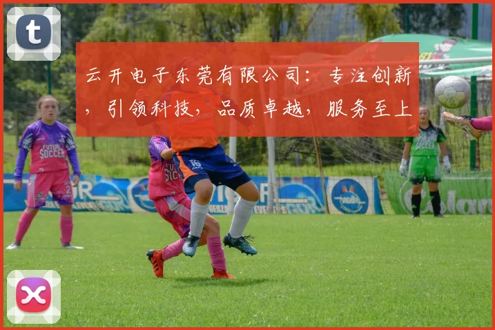 云开电子东莞有限公司：专注创新，引领科技，品质卓越，服务至上，三重优势，共赢未来