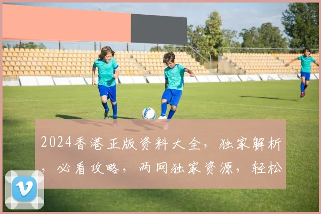 2024香港正版资料大全，独家解析，必看攻略，两网独家资源，轻松掌握