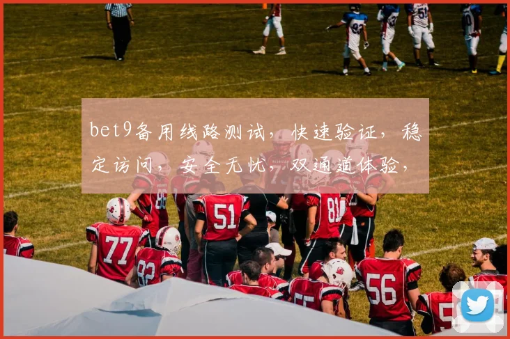 bet9备用线路测试，快速验证，稳定访问，安全无忧，双通道体验，轻松切换。