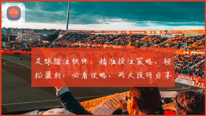 足球赌注软件，精准投注策略，轻松盈利，必看攻略，两大技巧分享