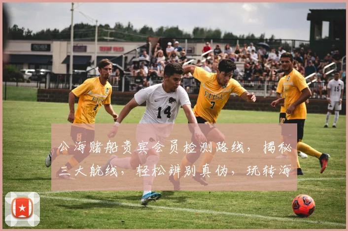 公海赌船贵宾会员检测路线，揭秘三大航线，轻松辨别真伪，玩转海上娱乐
